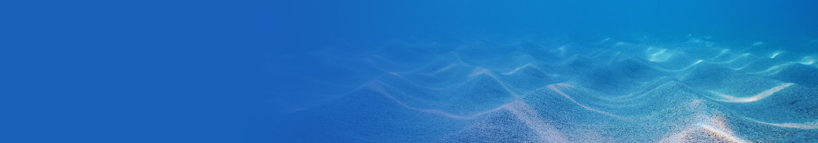 海底光缆.png 海底光缆.png